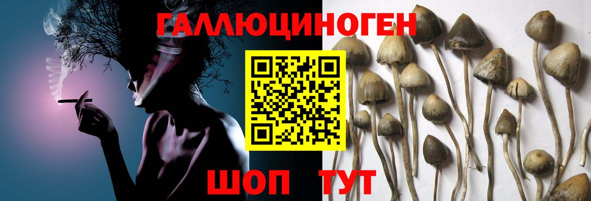 Галлюциногенные грибы Cubensis Югорск